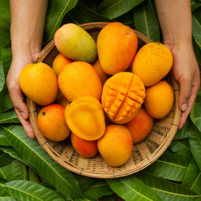 Thai Mango Sticky Rice