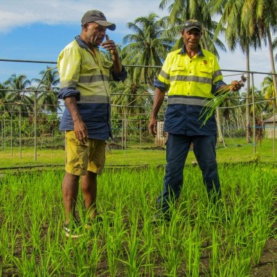 Trukai commends Karkar Rice Farmer